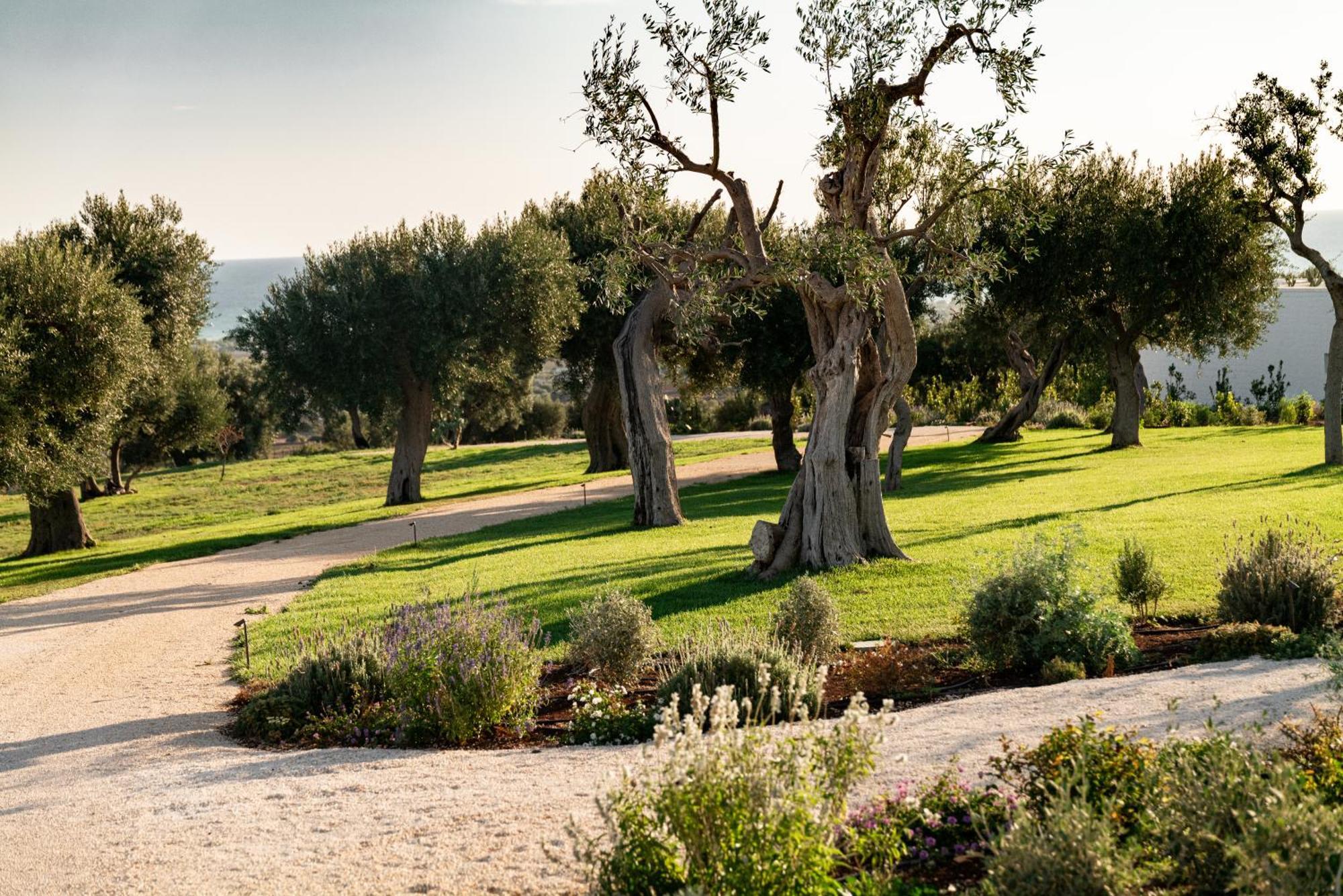 Masseria Auraterrae Полиньяно-а-Маре Экстерьер фото